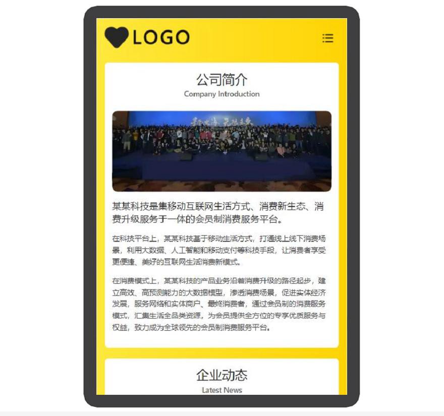 公司展示 大气 简洁 宣传页 着陆页 落地页 引导页